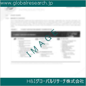 グローバルリサーチ調査資料のイメージ